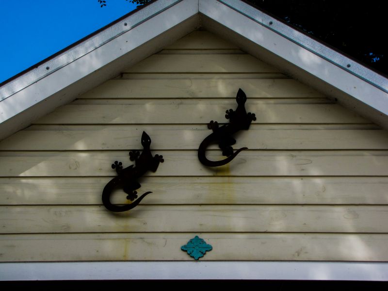 Barn Siding Installation